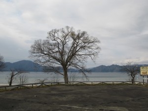 2014.11.26