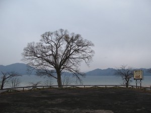 2014.11.26夕