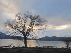 20141118_2