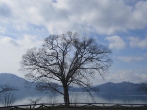 20141120