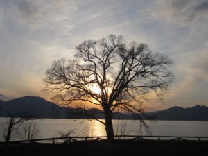 20141120_2