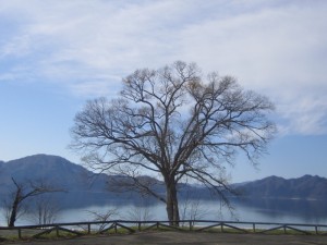 20141121