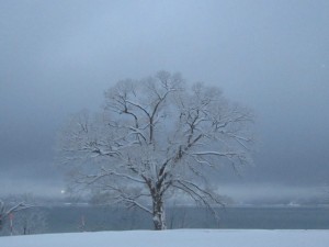 12.24夕