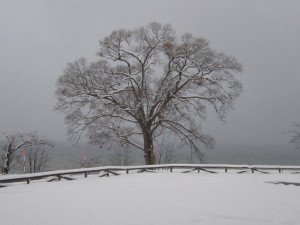 2014.12 03夕