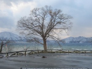 2014.12.02夕