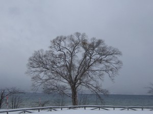 2014.12.06