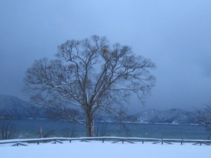 2014.12.06夕
