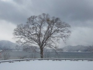 2014.12.07