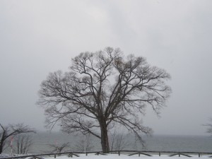 2014.12.12夕
