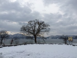 2014.12.17