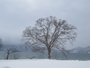 2014.12.19