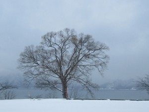 2014.12.19夕