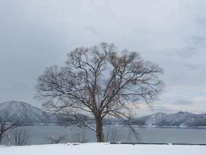 2014.12.20