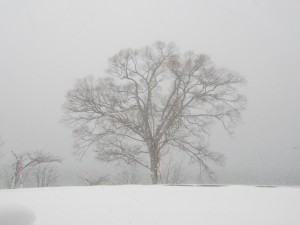 2014.12.23