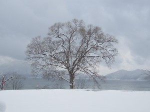 2014.12.25