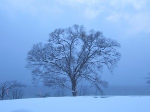 2014.12.25夕