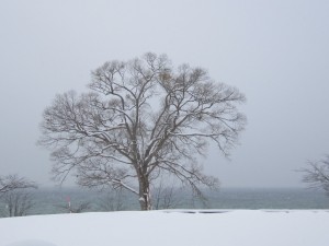 2014.12.26