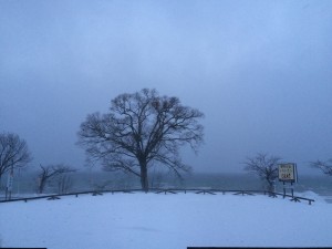 IMG_2290