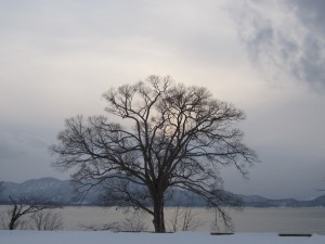2015.1.11夕