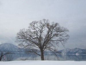 2015.1.15 - コピー