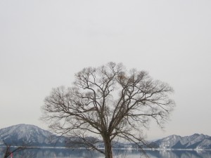 2015.1.15夕