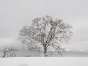 2015.1.19