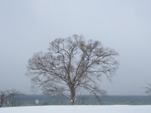 2015.1.20