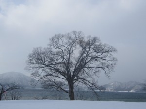 2015.1.23