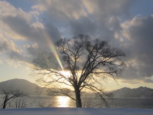 2015.1.24夕