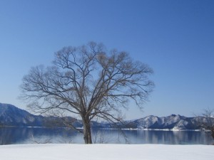 2015.1.25