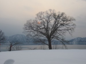 2015.1.26夕