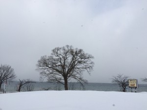 2015.1.28