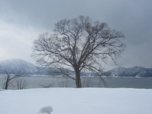 2015.1.29