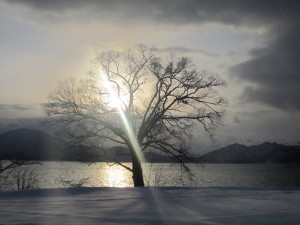 2015.1.29夕