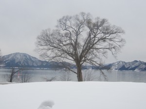 2015.1.30