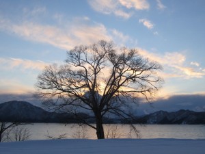2015.1.31夕