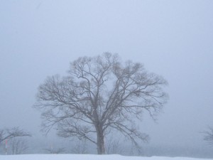 2015.1.3夕