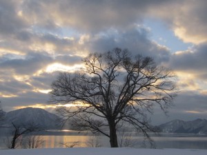 2015.1.5夕