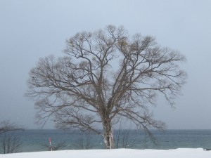 2015.1.7夕