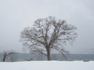 2015.1.8