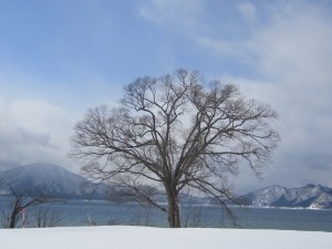 2015.2.06