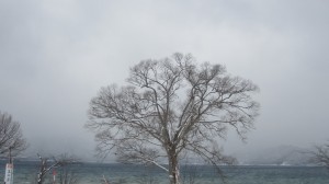 2015.2.10