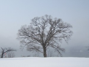 2015.2.11