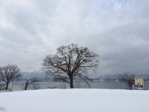 2015.2.12