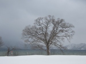 2015.2.13