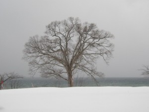 2015.2.13夕