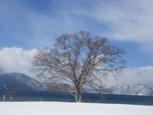 2015.2.15