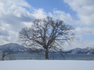 2015.2.16