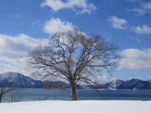 2015.2.20