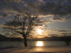 2015.2.20夕
